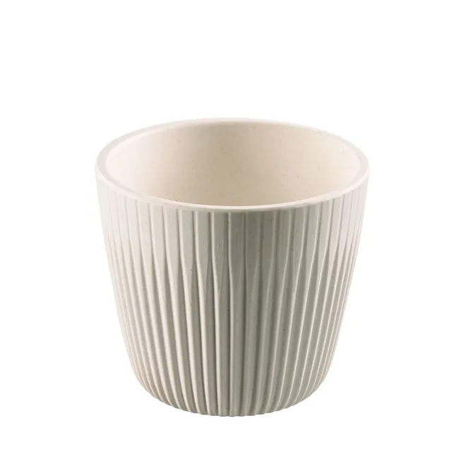 aps-lineo-dipsch-lchen-85333-180-ml-cremewei-6er image 1