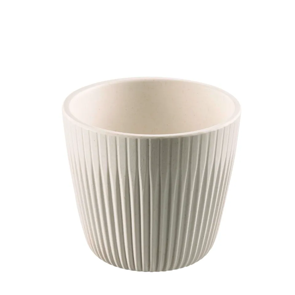 aps-lineo-dipsch-lchen-85333-180-ml-cremewei-6er image 1